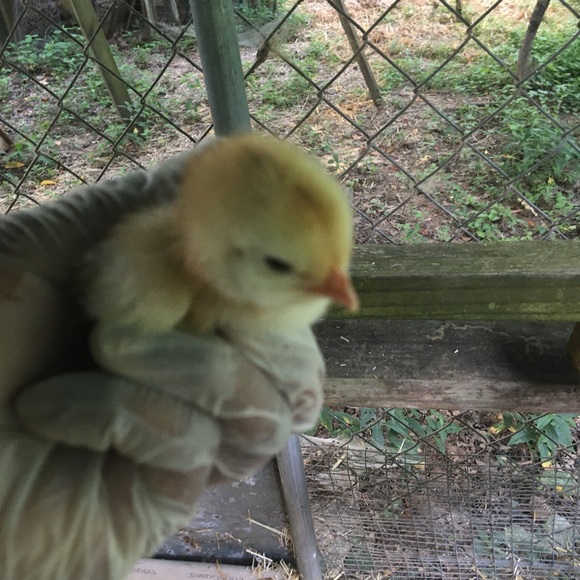 Meet your Posher, Janet - Picture 4 of 16